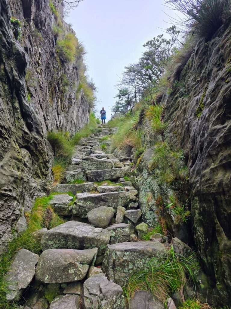 Hiker descending the Platteklip Gorge hike