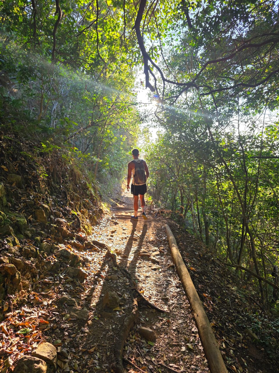 hiker-in-newlands-forest