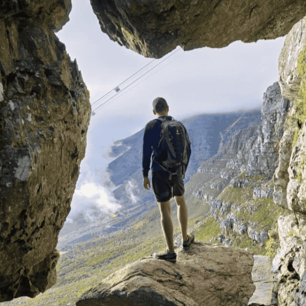 India Venster on Table Mountain