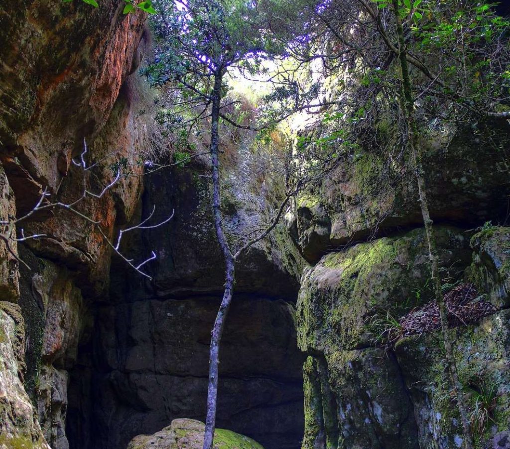 Tranquility Cracks hike on Western Face